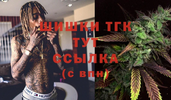 spice Арсеньев