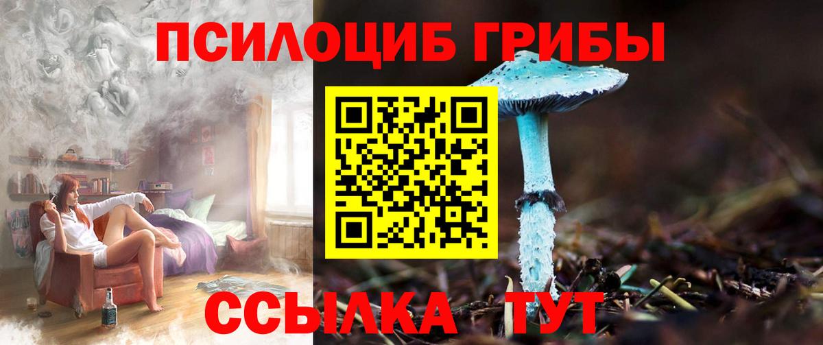 Галлюциногенные грибы мицелий  Псилоцибиновые грибы ЛСД  Вход с VPN  Саранск 